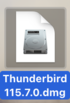 Thunderbird Programm-Icon